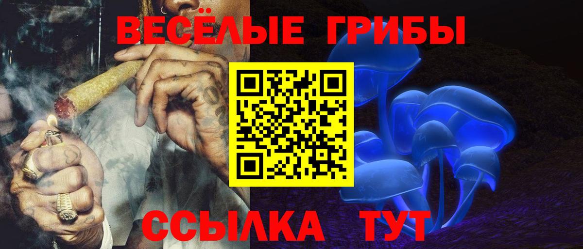 Рассказово  Галлюциногенные грибы Psilocybe  Вход с VPN 