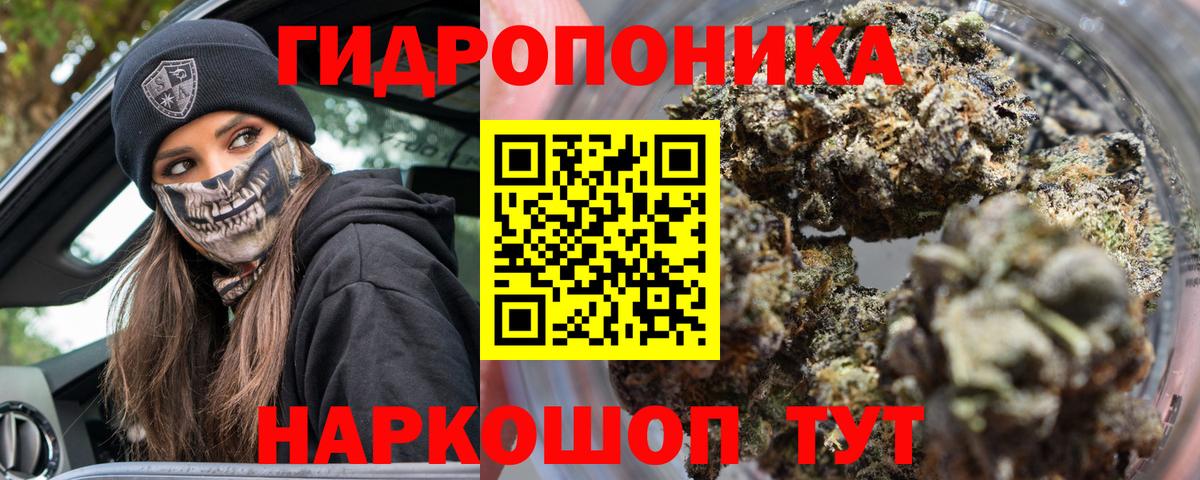 Каннабис индика  Бошки марихуана OG Kush  Шишки марихуана OG Kush  Вход с VPN  Рассказово 